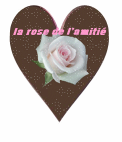 kdo la rose de l'amitié