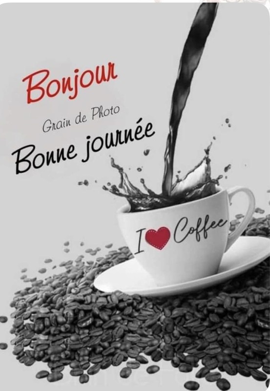 bonne journée