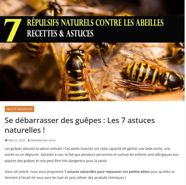 astuces-eloigner-guepes
